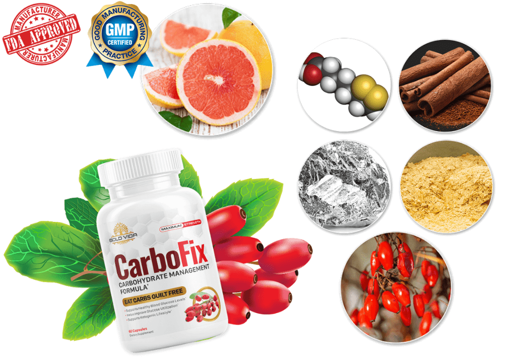 What Are The Main Ingredients Of CarboFix?
