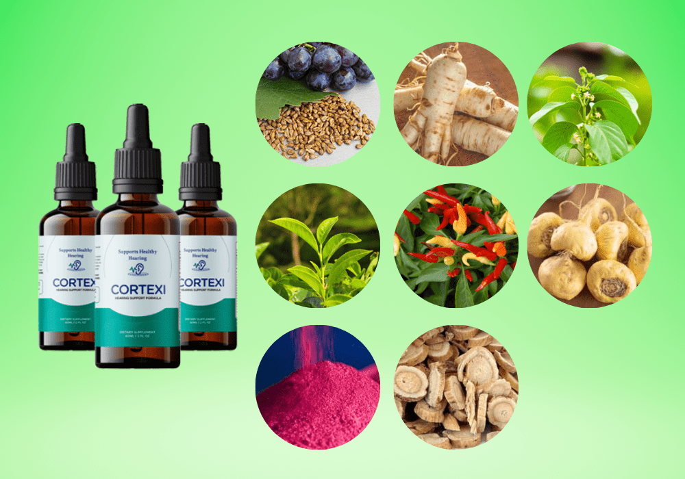 Cortexi Supplement Reviews - Key Ingredients