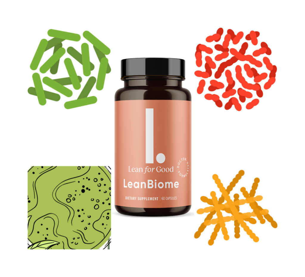 LeanBiome Capsules Ingredients And Their Uses