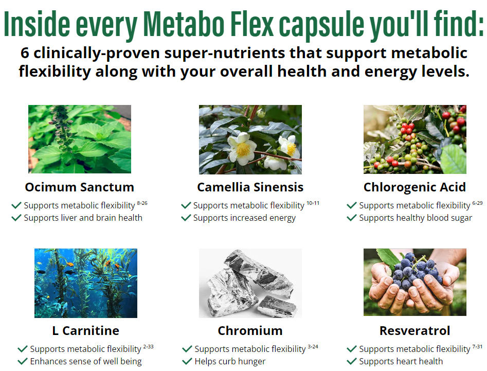 The Ingredients in Metabo Flex